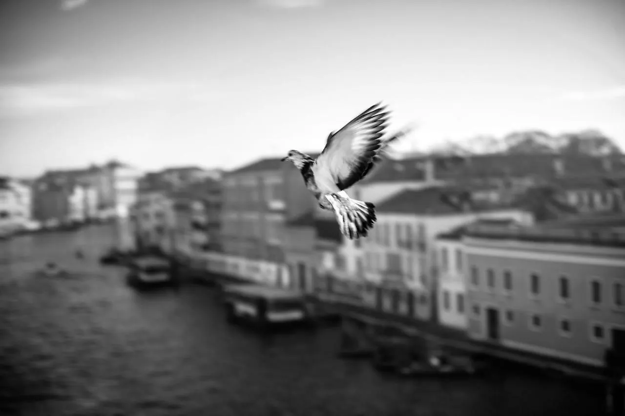Hotel Ca' Bonfadini Historic Experience Venedig
